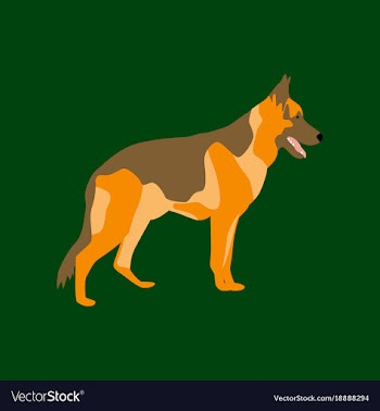 In flat style german shepherd vector image