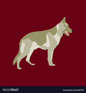In flat style german shepherd vector image