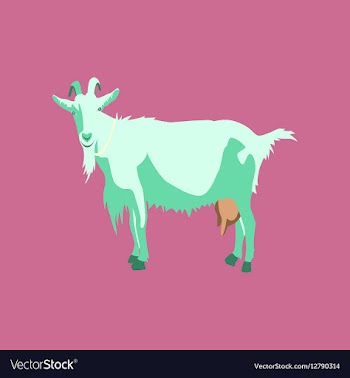 In flat style goat vector image