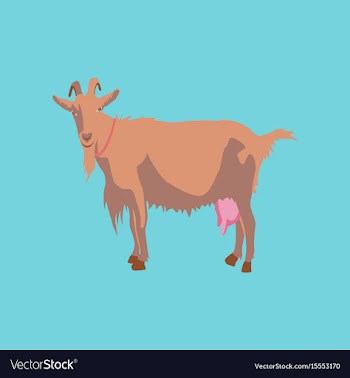 In flat style goat vector image