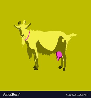 In flat style goat vector image