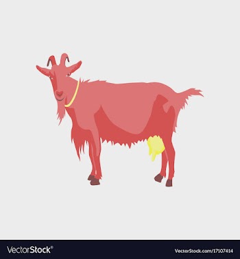 In flat style goat vector image