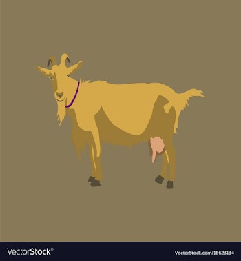 In flat style goat vector image