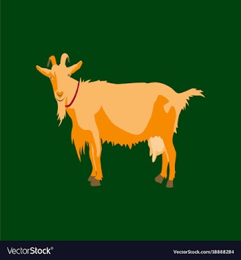 In flat style goat vector image