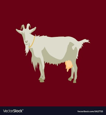 In flat style goat vector image