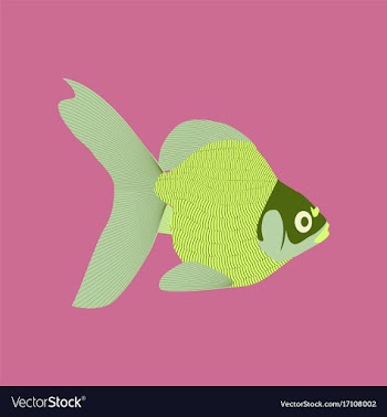 In flat style goldfish vector image