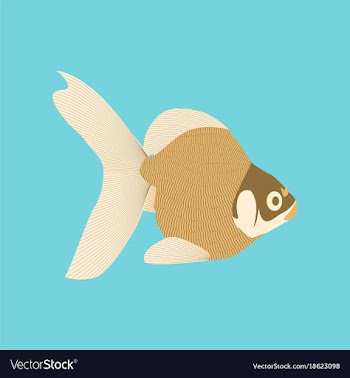 In flat style goldfish vector image