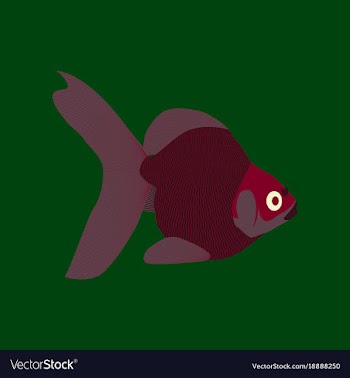 In flat style goldfish vector image