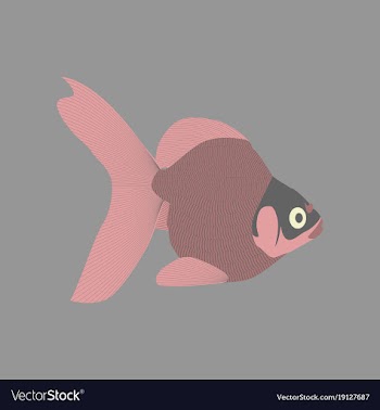 In flat style goldfish vector image