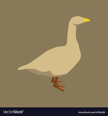 In flat style goose vector image