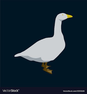 In flat style goose vector image