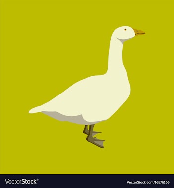 In flat style goose vector image