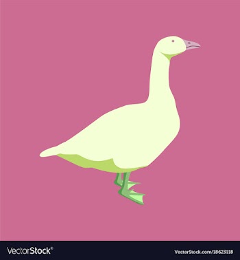 In flat style goose vector image