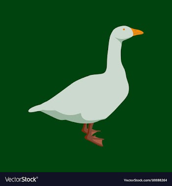 In flat style goose vector image