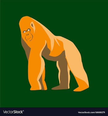 In flat style gorilla vector image