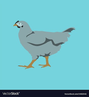 In flat style hen vector image