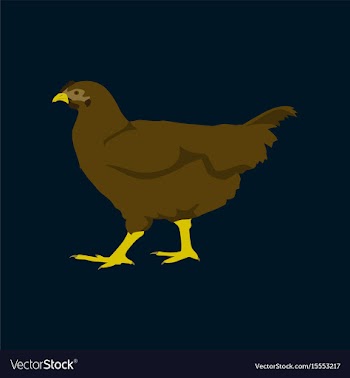 In flat style hen vector image