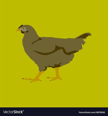 In flat style hen vector image