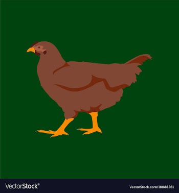 In flat style hen vector image