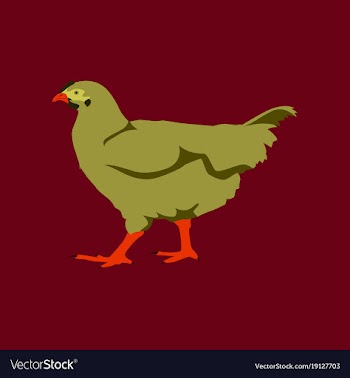 In flat style hen vector image