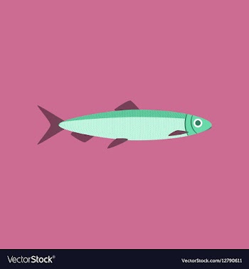 In flat style herring vector image