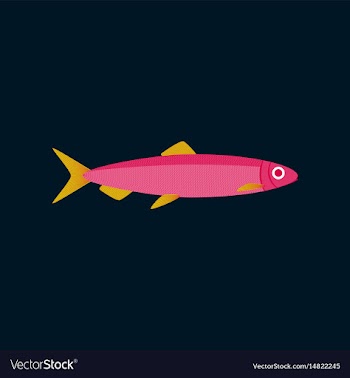 In flat style herring vector image