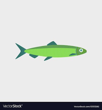 In flat style herring vector image
