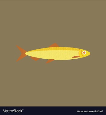 In flat style herring vector image