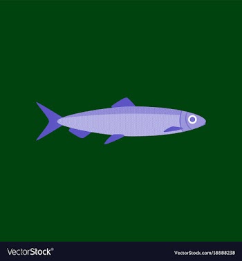 In flat style herring vector image