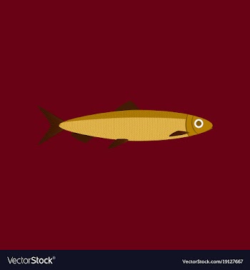 In flat style herring vector image