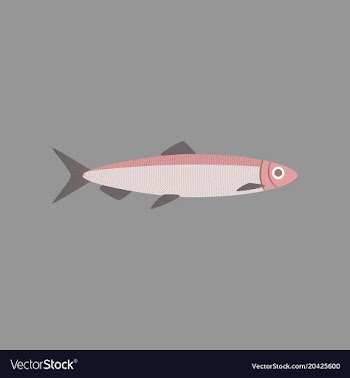 In flat style herring vector image