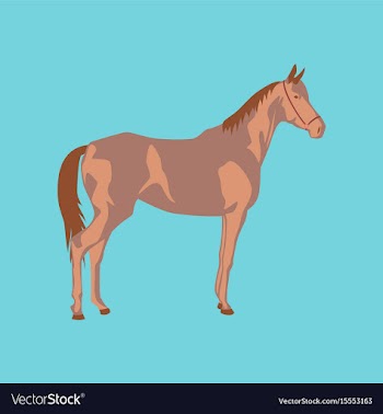 In flat style horse vector image