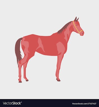 In flat style horse vector image