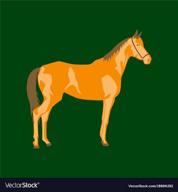 In flat style horse vector image