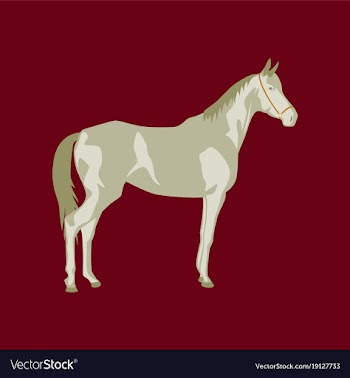 In flat style horse vector image