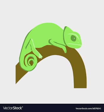 In flat style of chameleon vector image