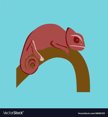 In flat style of chameleon vector image