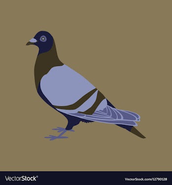 In flat style of dove vector image