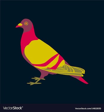 In flat style of dove vector image