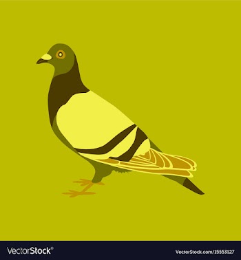 In flat style of dove vector image