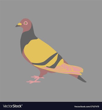 In flat style of dove vector image