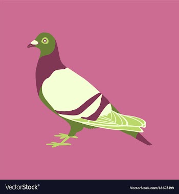 In flat style of dove vector image