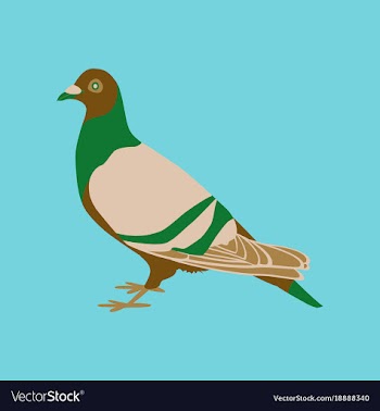 In flat style of dove vector image