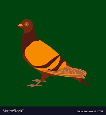 In flat style of dove vector image