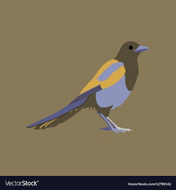 In flat style of magpie vector image