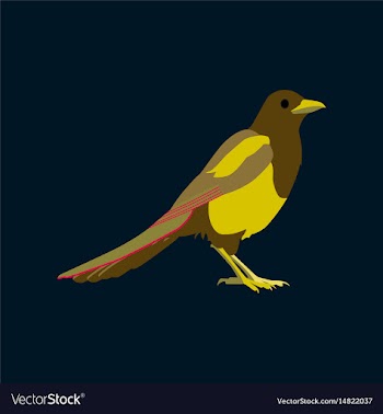 In flat style of magpie vector image