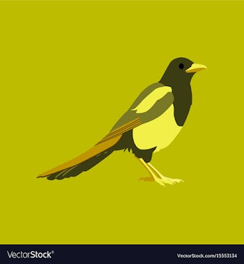 In flat style of magpie vector image