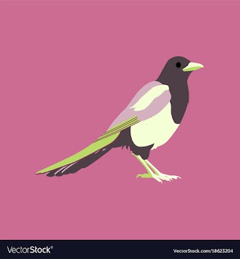 In flat style of magpie vector image
