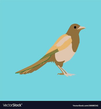 In flat style of magpie vector image
