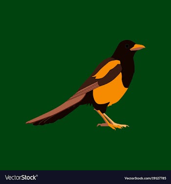 In flat style of magpie vector image